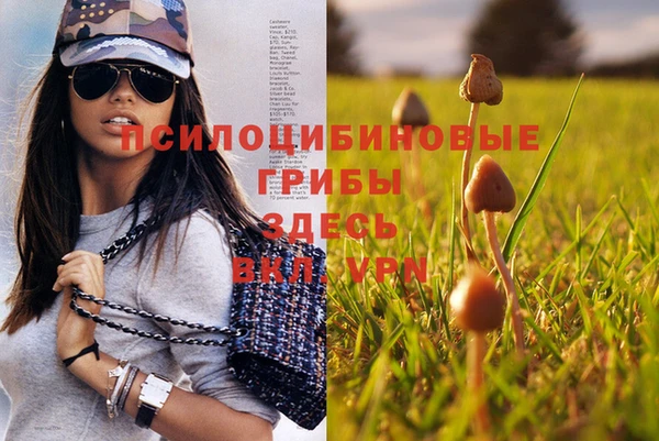 кристаллы Алексин