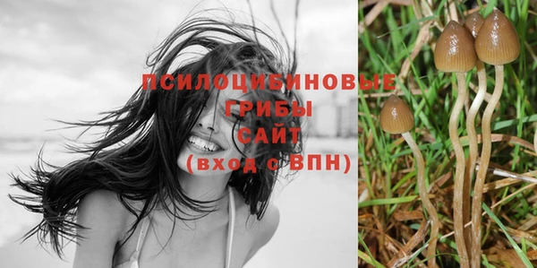 спиды Алзамай