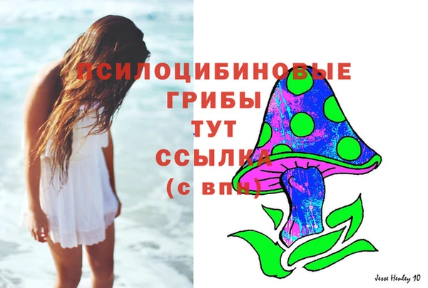 спиды Алзамай
