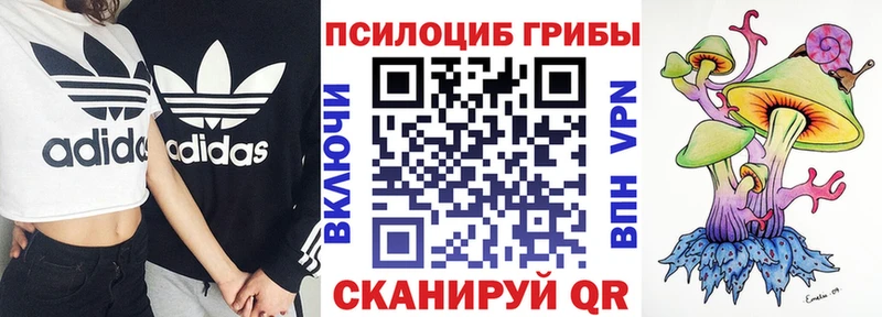 Галлюциногенные грибы Psilocybine cubensis как найти Серов